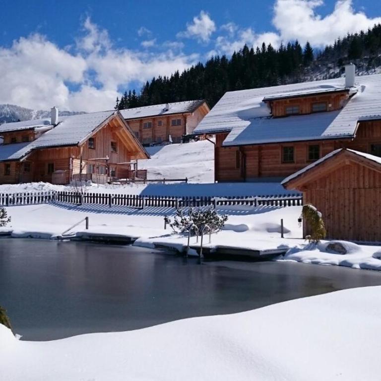 Chalet Dachsteinblick - Chalet - 13