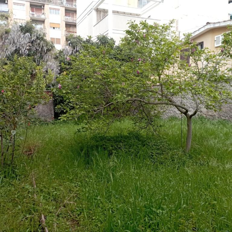 Pigneto House - Camera Singola con Vista Giardino - 7