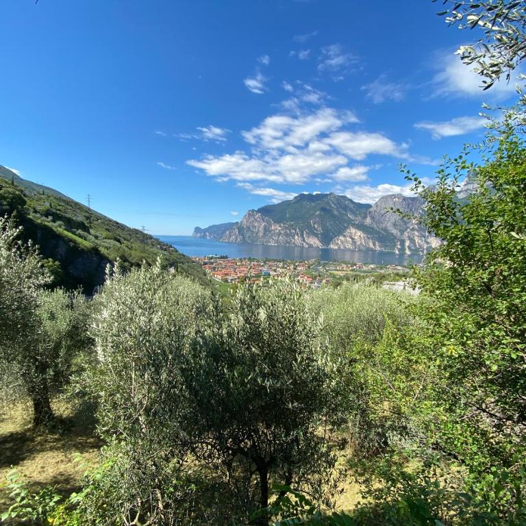 GARDA BALDO APARTMENTS - Apartment with Lake View - 14