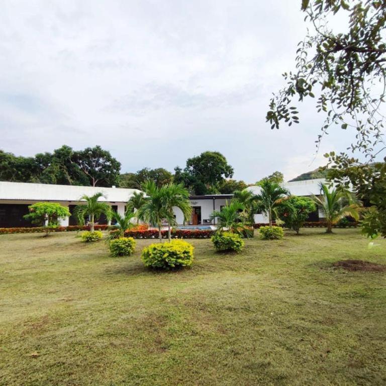 Extraordinaria casa con piscina y pura naturaleza Honda - Casa de 4 dormitorios - 3