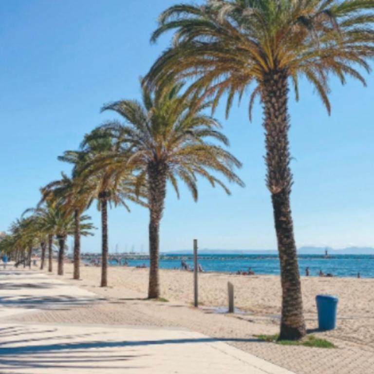 BEL APPARTEMENT ROSES PLAGE - Apartamento de 1 dormitorio - 15