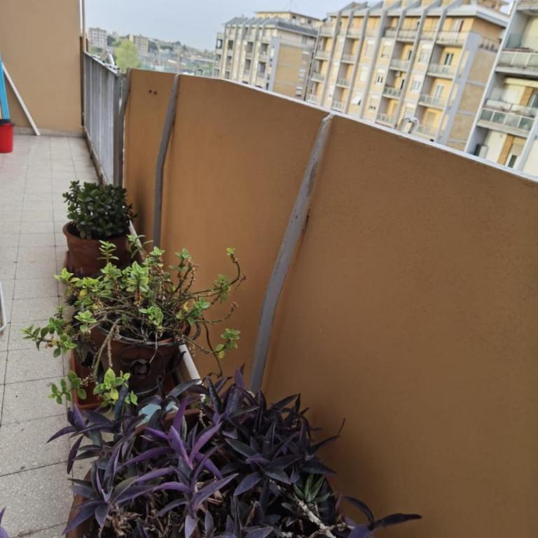 Appartamento per Turisti e Famiglie Roma - Standard Apartment - 18