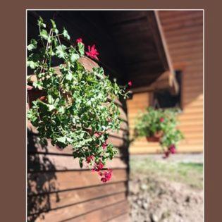 Vikend kuća Đoković - Jahorina - One-Bedroom House - 32