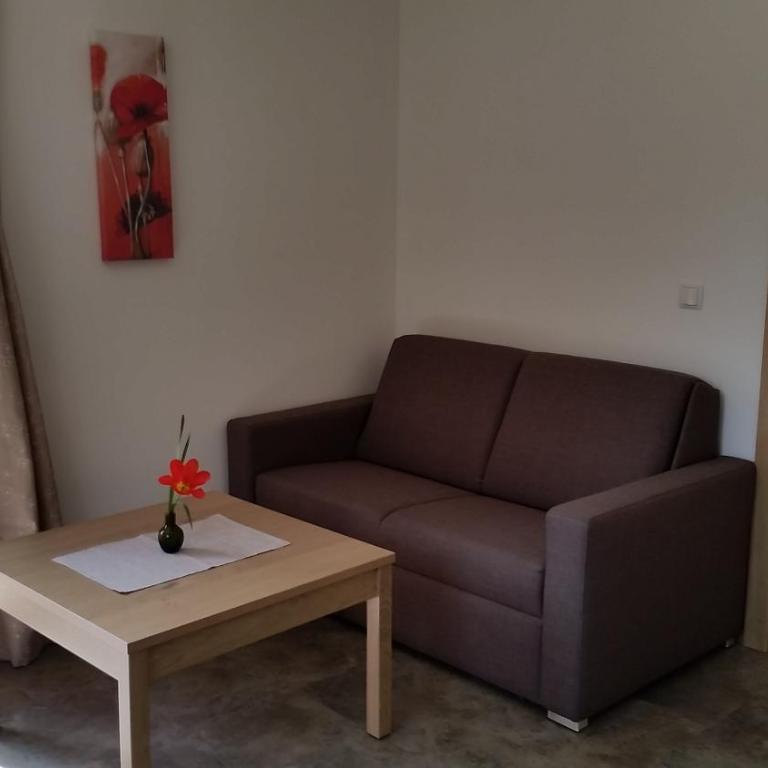 Haus im Erlengrund - Appartamento con 1 Camera da Letto e Vista Montagna - 6