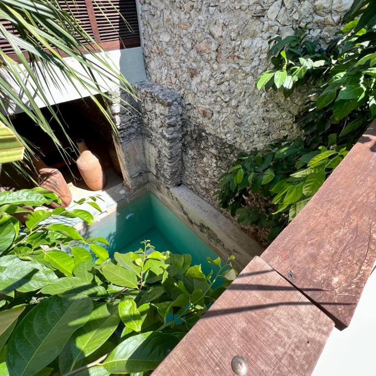 Japoneza Retreat Mérida - Adults Only by Cercana - Superior Suite - 10