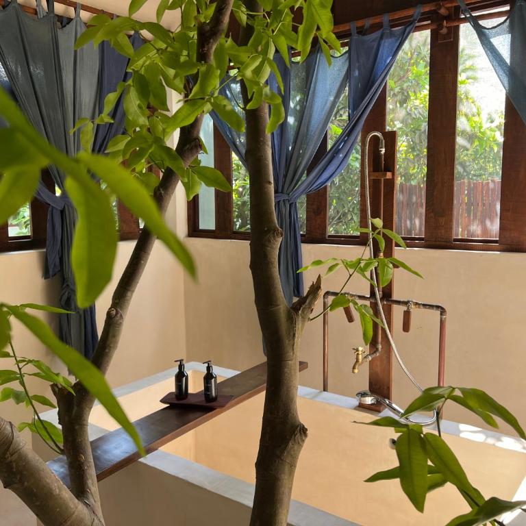 Japoneza Retreat Mérida - Adults Only by Cercana - Suite - 3