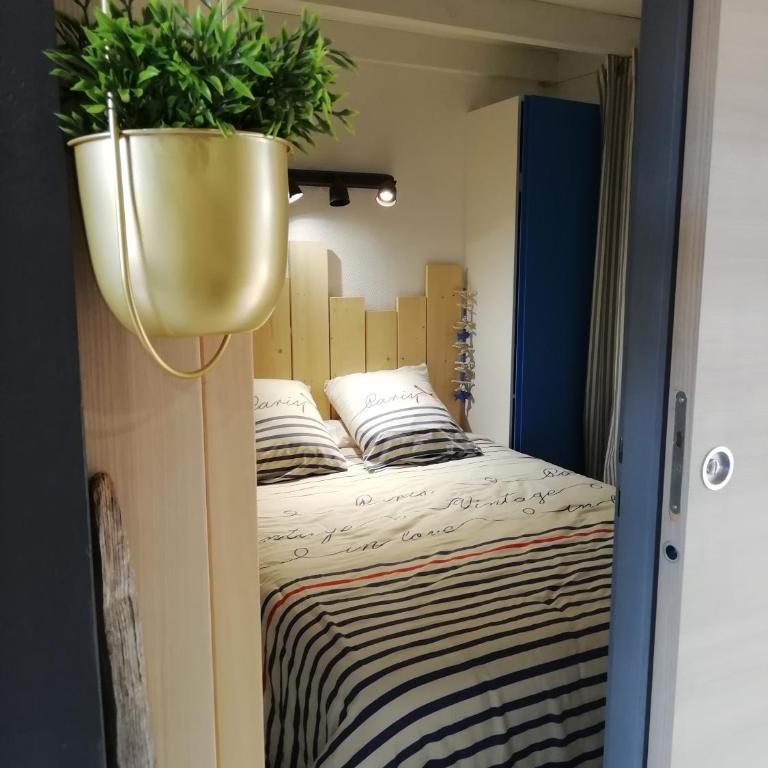 Joli appart. entre Biarritz et Bordeaux à Moliets - Appartement 2 Chambres - 17