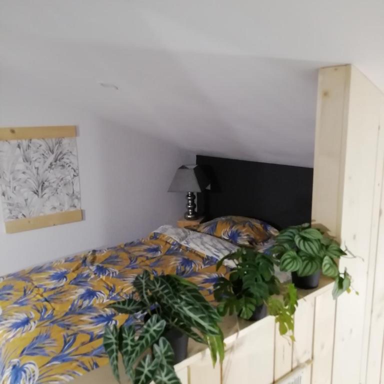 Joli appart. entre Biarritz et Bordeaux à Moliets - Appartement 2 Chambres - 22
