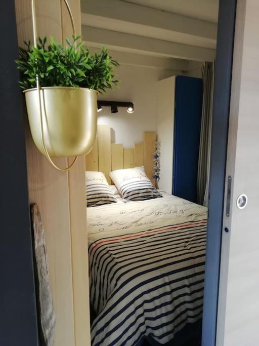 Joli appart. entre Biarritz et Bordeaux à Moliets - Appartement 2 Chambres - 23