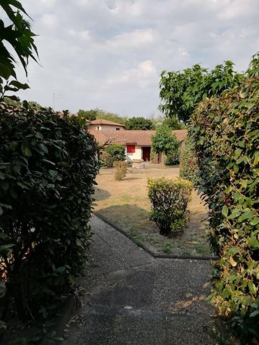 Joli appart. entre Biarritz et Bordeaux à Moliets - Appartement 2 Chambres - 36
