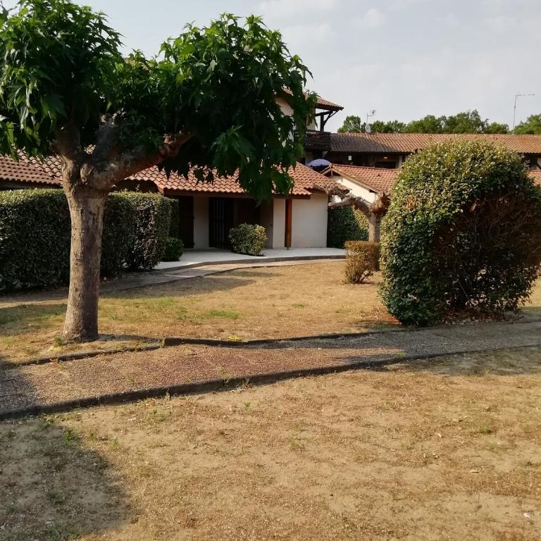 Joli appart. entre Biarritz et Bordeaux à Moliets - Appartement 2 Chambres - 48