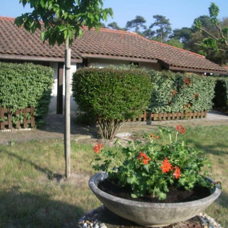 Joli appart. entre Biarritz et Bordeaux à Moliets - Appartement 2 Chambres - 54