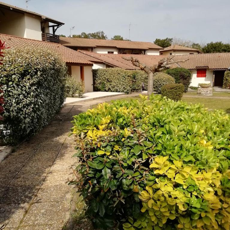 Joli appart. entre Biarritz et Bordeaux à Moliets - Appartement 2 Chambres - 63