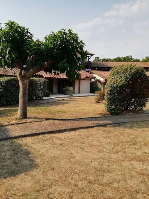 Joli appart. entre Biarritz et Bordeaux à Moliets - Appartement 2 Chambres - 71