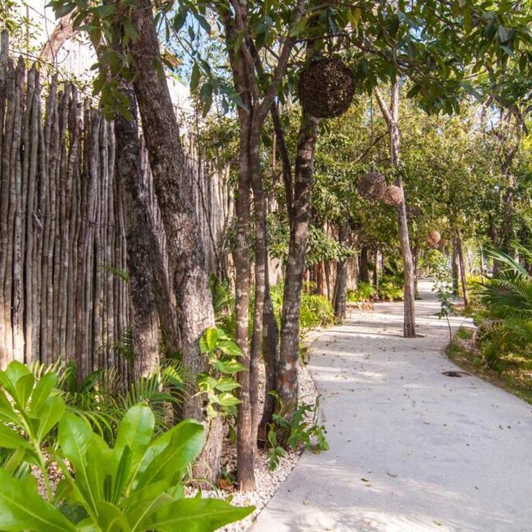 Spectacular Villa Gaia/PH/private pool - Apartamento de 3 dormitorios - 32