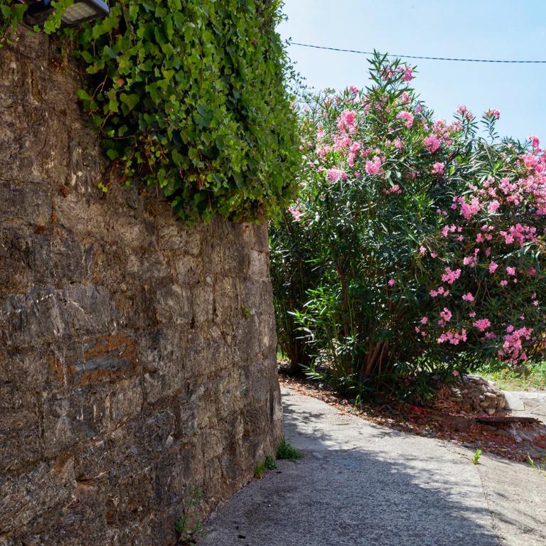 Casa Gretemma - Monolocale con Balcone - 5