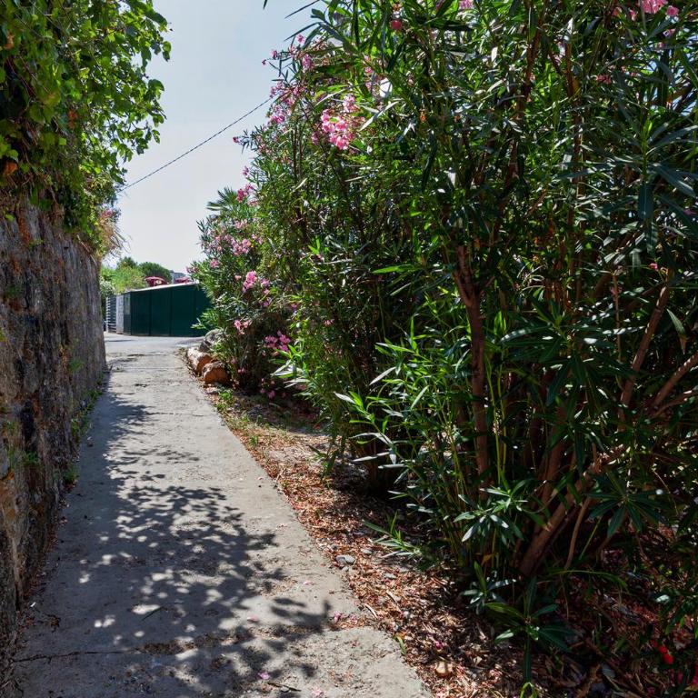 Casa Gretemma - Monolocale con Balcone - 18