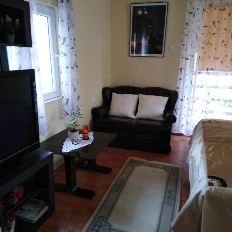 Apartman Sasa - Apartman sa 1 Spavaćom Sobom - 12
