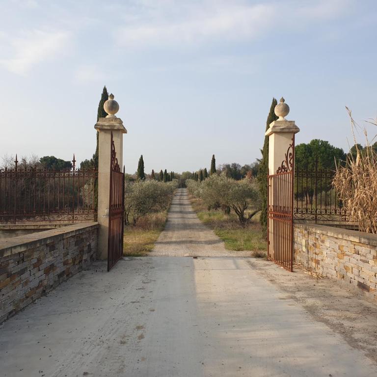 La Villa Michèle, domaine sur les hauteurs de Pézenas - Maison 3 Chambres - 7