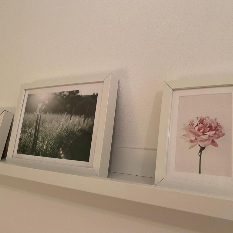 Flowers & garden apartment con vista lago - Casa con 2 Camere da Letto - 25