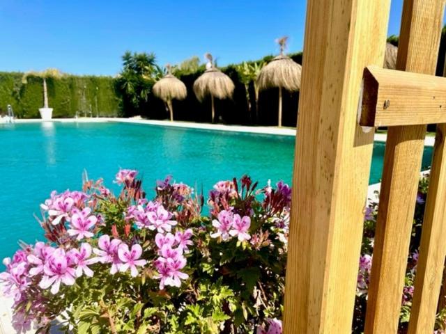 GATU PREMIUM Villa Poniente, junto la playa de Valdelagrana " Preferente mayores de 21 años y familias " - Apartamento con terraza - 14