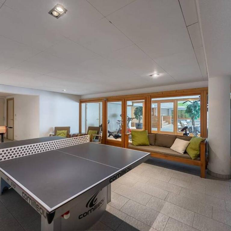 OASIS - Apt 08 - BO Immobilier - Reduced prices on ski passes Châtel & Portes du Soleil - Appartement 3 Chambres - 17
