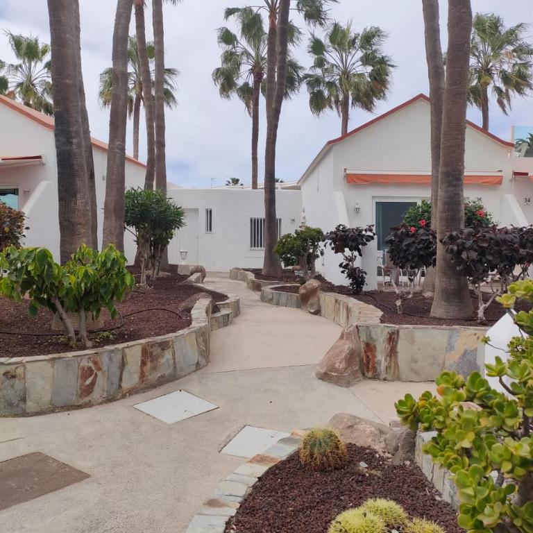 Casa Lidia Costa Calma beach - Apartamento de 1 dormitorio - 2