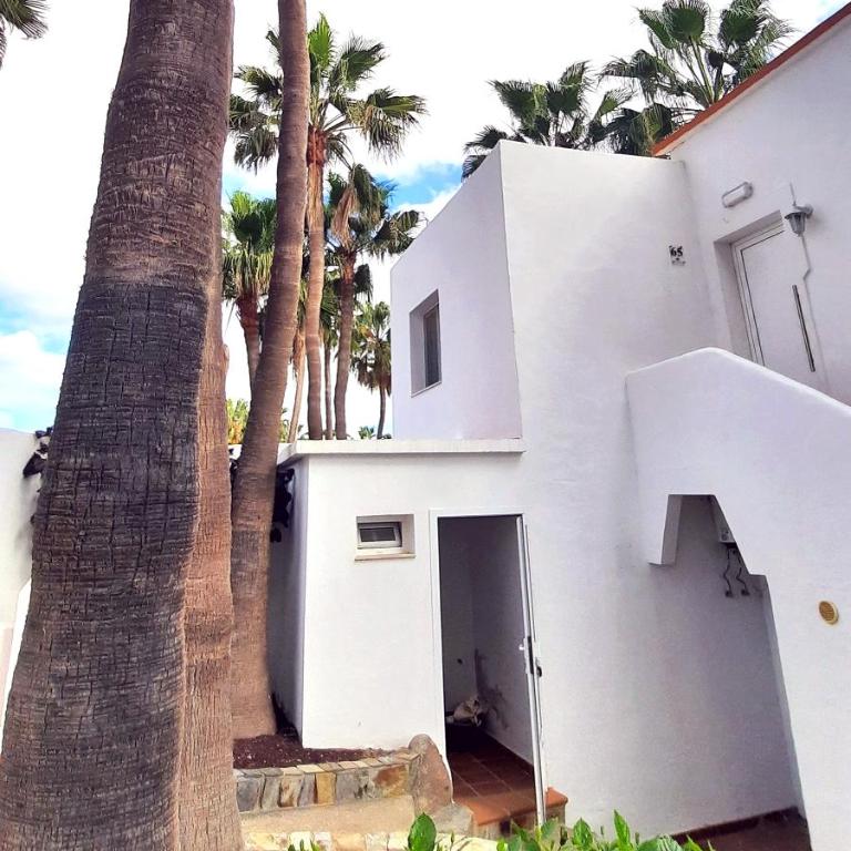 Casa Lidia Costa Calma beach - Apartamento de 1 dormitorio - 29