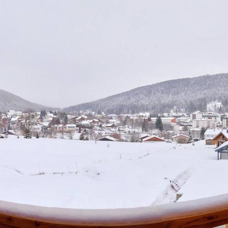 Chalet La Trinité-Spa,Sauna,Pétanque-Gérardmer - Chalet - 26