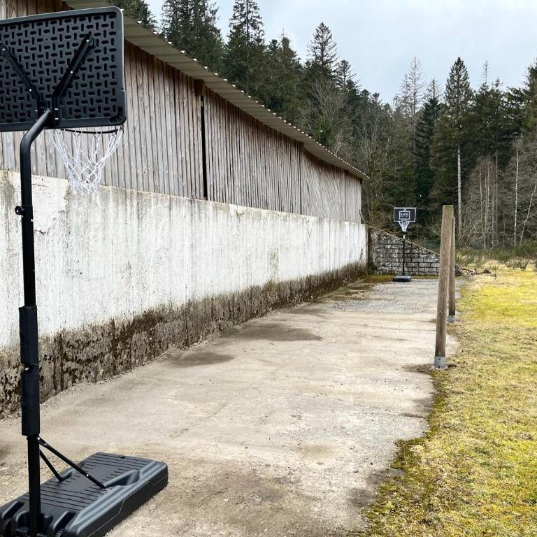 Chalet les Bleuets 12p - babyfoot & Wii - Chalet - 45