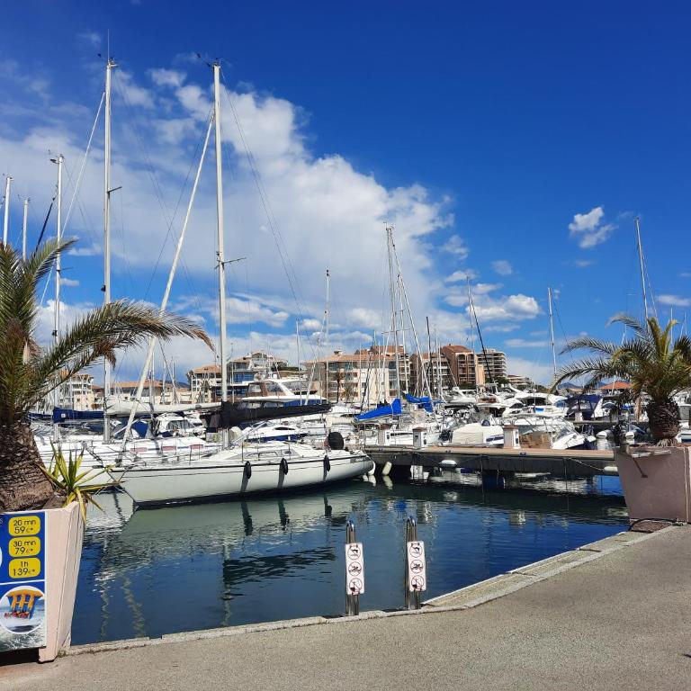 Coeur Marina climatisé terrasse parking - Apartamento de 1 dormitorio - 24