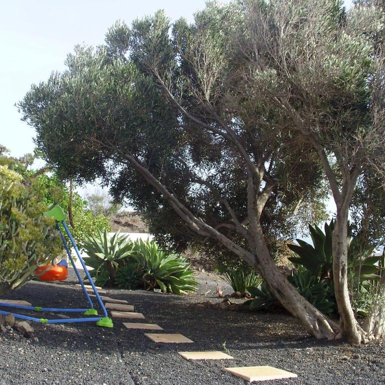 CASA LA TAHONILLA - Apartamento - Planta baja - 13