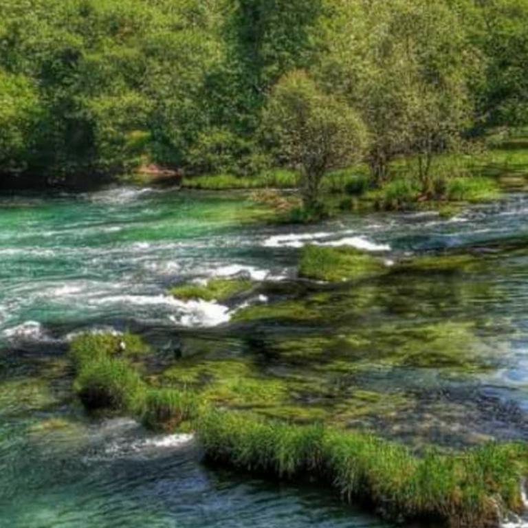 Apartmani Dada Kanjon Grmuša - Kuća sa 2 Spavaće Sobe - 23