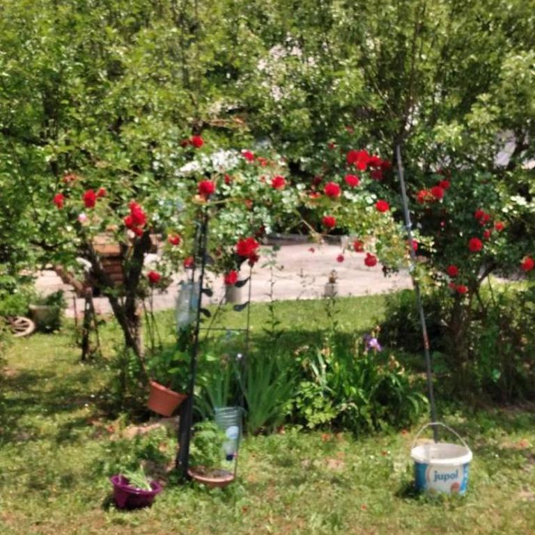 Apartmani Dada Kanjon Grmuša - Two-Bedroom House - 22