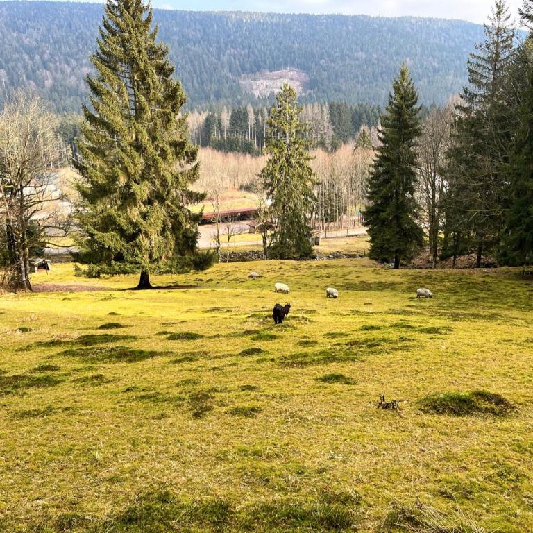 Ferme des Jonquilles 15p - billard, PS4, salle de sport - Maison 7 Chambres - 37