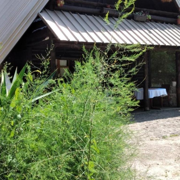 Apartmani Dada Kanjon Grmuša - Three-Bedroom House - 12