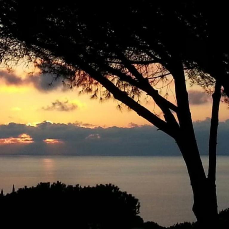 Villa Barabarca - Casa a Schiera con 2 Camere da Letto - 4