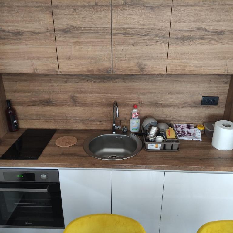 Zlatiborski konaci K32 - Apartman sa 2 Spavaće Sobe - 9