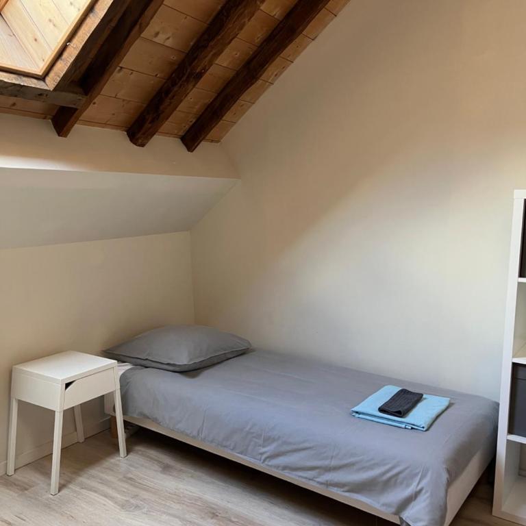 Spacious town house in the center of le Bourg d'Oisans - Haus mit 4 Schlafzimmern - 29