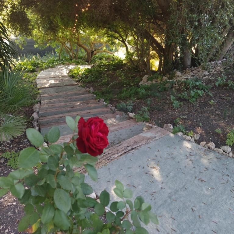 Giardino di Circe - Casa con 4 camere da letto - 48