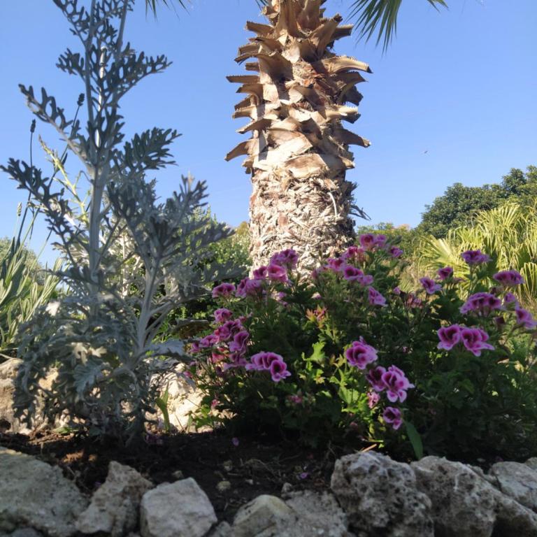 Giardino di Circe - Casa con 4 camere da letto - 52