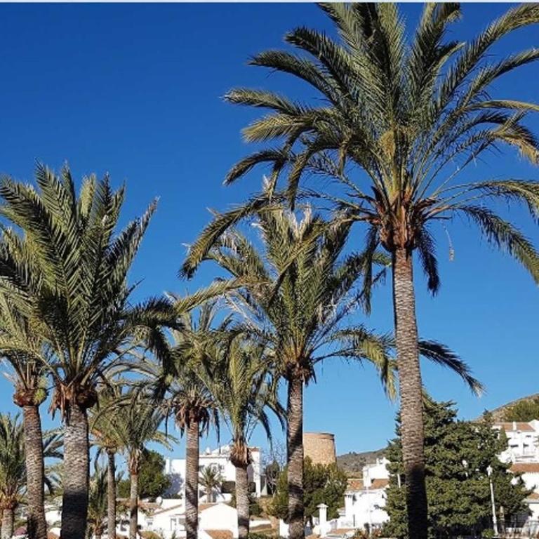 Beautiful apartment with amazing Sea view - Apartamento de 1 dormitorio - 20