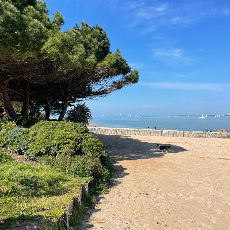 Superbe appartement cosy - Plage des minimes - Apartamento de 1 dormitorio - 35