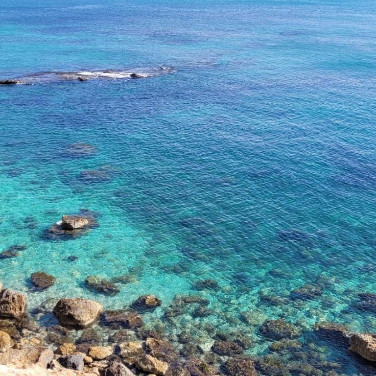 Casa Caledonia - Appartement dans villa avec jardin arboré et piscine à 500 M de la mer - Apartamento - Planta baja - 35