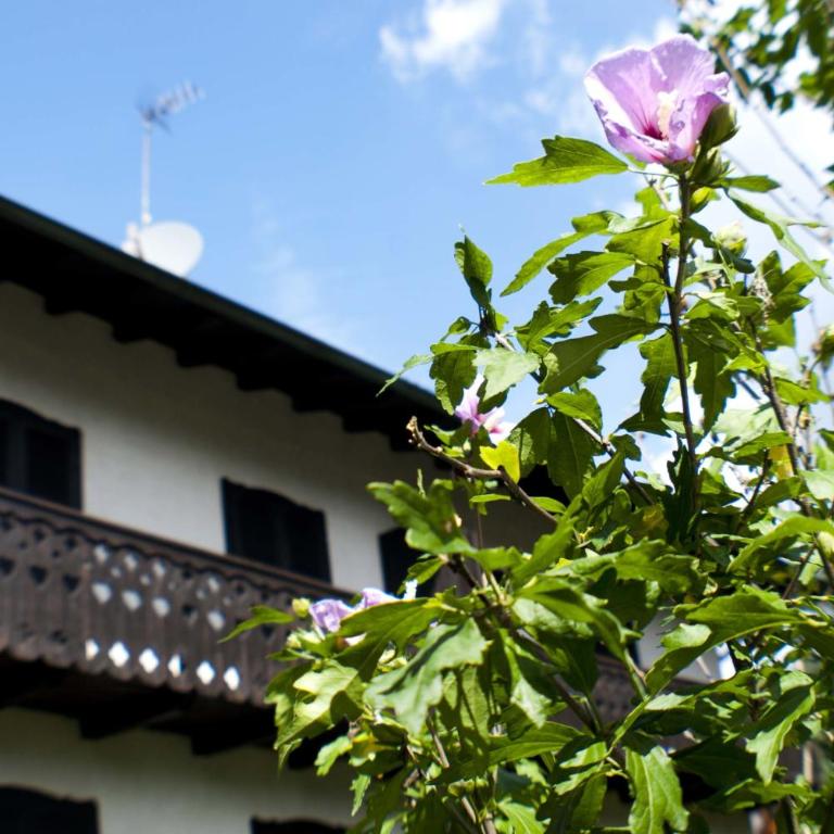 Casa Elisabetta - Appartamento con Balcone - 5