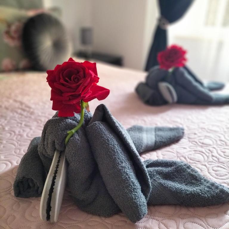 Red Roses Domus Rome - Appartamento con 1 Camera da Letto - 5
