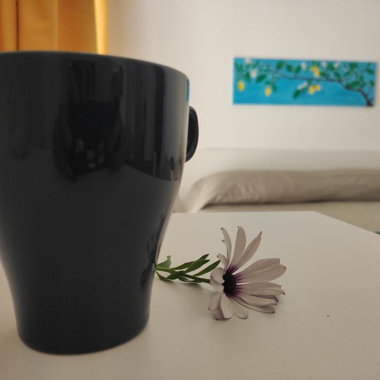 Casta Diva Holiday Rooms - Apartment - 21