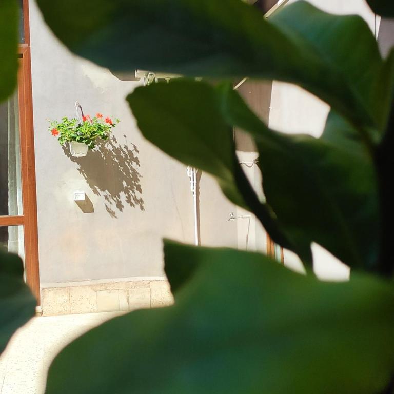Casta Diva Holiday Rooms - Apartment - 44