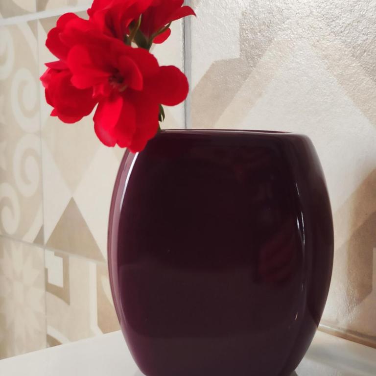 Casta Diva Holiday Rooms - Apartment - 56