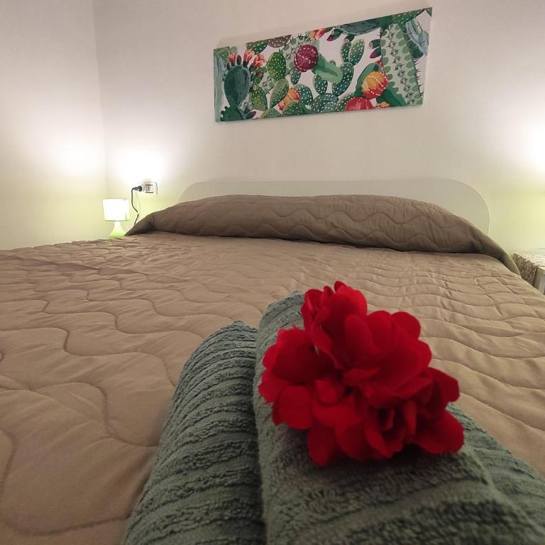 Casta Diva Holiday Rooms - Apartment - 1